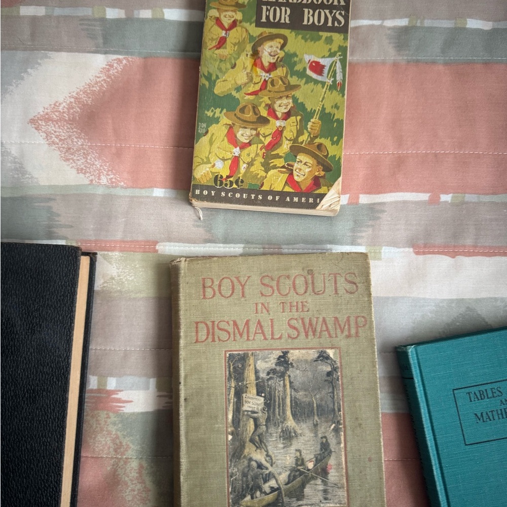 Vintage Boy Scouts Books Collection